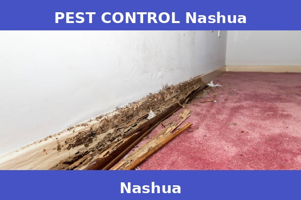 PEST CONTROL Nashua